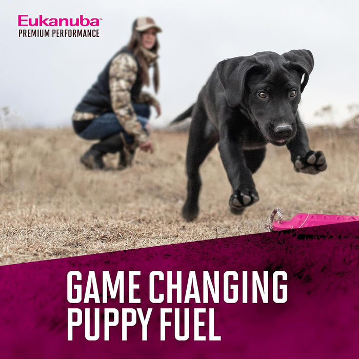 Eukanuba Premium Performance Puppy Pro Dry Dog Food