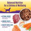Wellness Grain-Free Natural Venison & Salmon Stew with Potato & Carrots Wet Dog Food