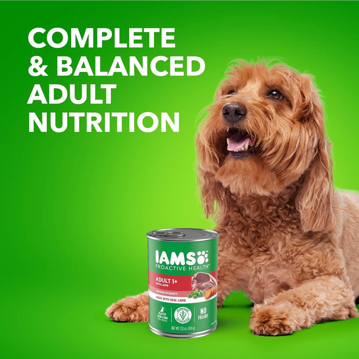 Iams Proactive Health Lamb Chunks in Gravy Canned Wet Dog Food, 13-oz can, case of 12