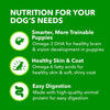 Iams ProActive Health Classic Ground with Chicken & Rice Puppy Canned Wet Dog Food, 13-oz can, case of 12