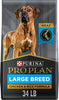 Purina Pro Plan Adult Large Breed Chicken & Rice Formula Dry Dog Food