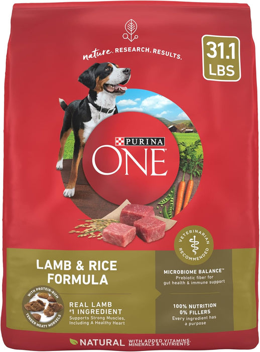 Purina ONE Natural SmartBlend Lamb & Rice Formula Dry Dog Food.