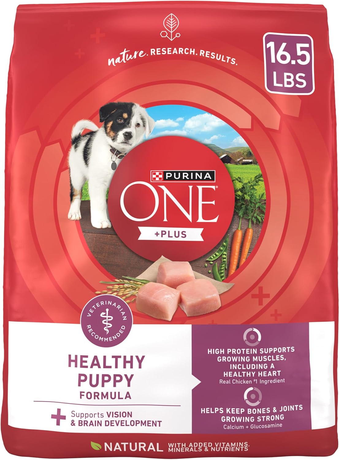 Purina ONE SmartBlend Healthy Puppy Formula Dry Dog Food, 16.5 lb Bag