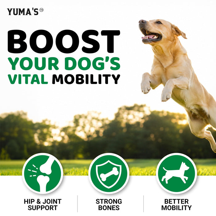 YUMA'S Hemp Hip & Joint Soft Chews for Dogs, Chicken Flavor, 170 Count