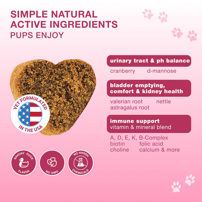 Kinpur Cranberry & D-Mannose Bladder Support Chews for Dogs