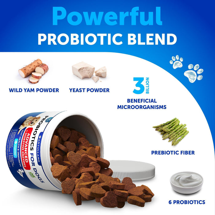 Artullano Advanced Probiotics for Dogs, Duck Flavor, 2-Pack, 240 Soft Chews Total