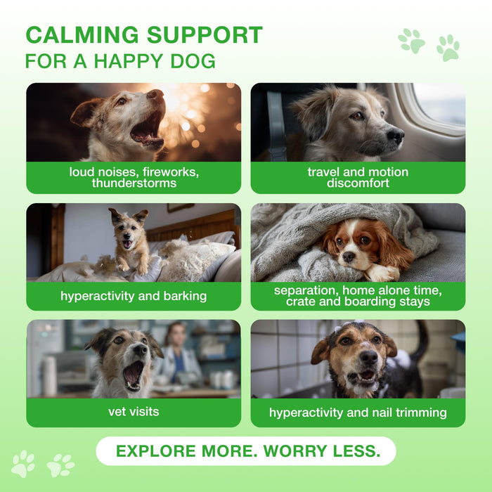 Kinpur Hemp Calming Soft Chews for Dogs, Beef, 110 Count