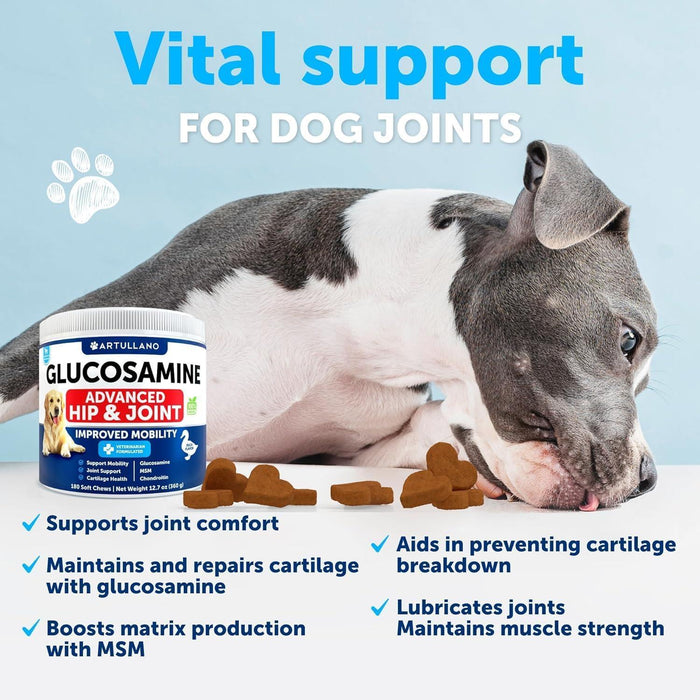 Artullano Glucosamine + Hemp Hip & Joint Soft Chews for Dogs, 120 Count