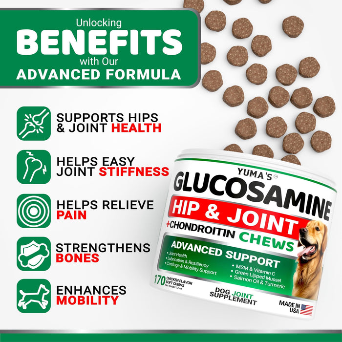 YUMA'S Glucosamine Hip & Joint Soft Chews for Dogs, Chicken Flavor, 2-Pack, 340 Count