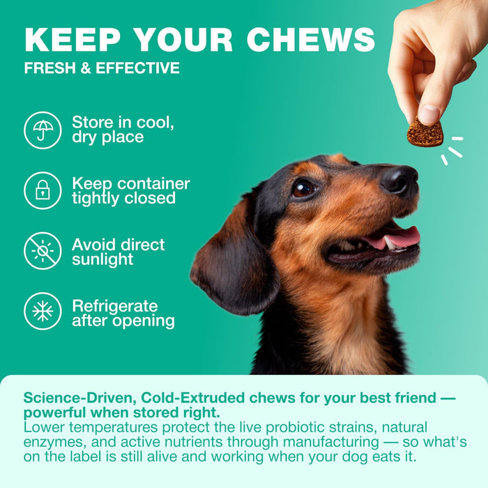 Chewia Probiotic Soft Chews for Dogs, Duck Flavor, 180 Count