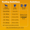 Pedigree Complete Nutrition Grilled Steak & Vegetable Flavor Dry Dog Food