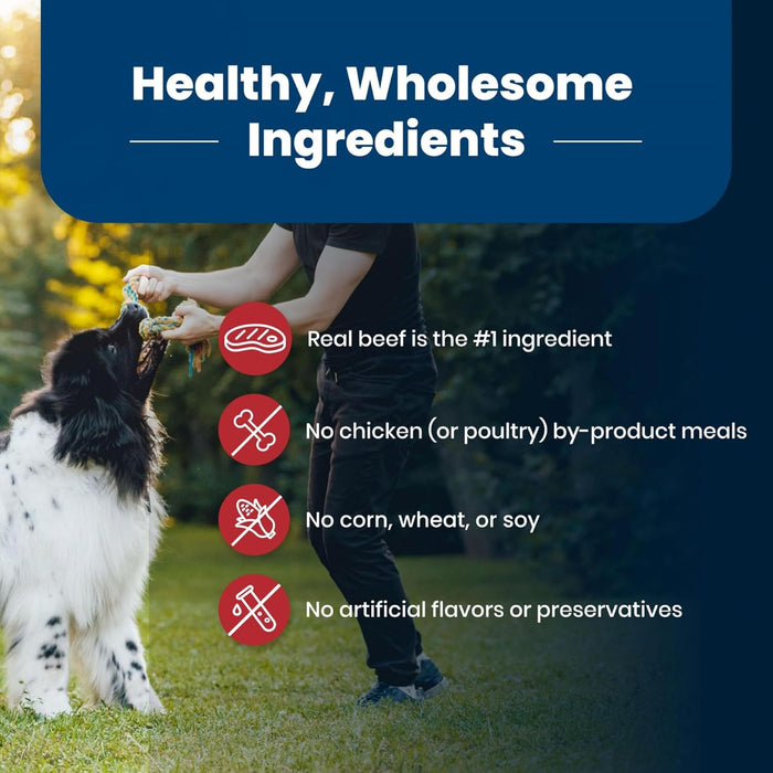 Blue Buffalo Life Protection Formula Adult Beef & Brown Rice Recipe Dry Dog Food