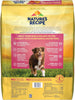 Nature's Recipe Grain-Free Salmon, Sweet Potato & Pumpkin Recipe Dry Dog Food