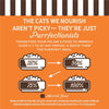 Merrick Purrfect Bistro Grain-Free Chicken Pate Canned Cat Food