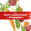 Beneful Purina Real Meat Dry Dog Food, Originals with Farm-Raised Beef