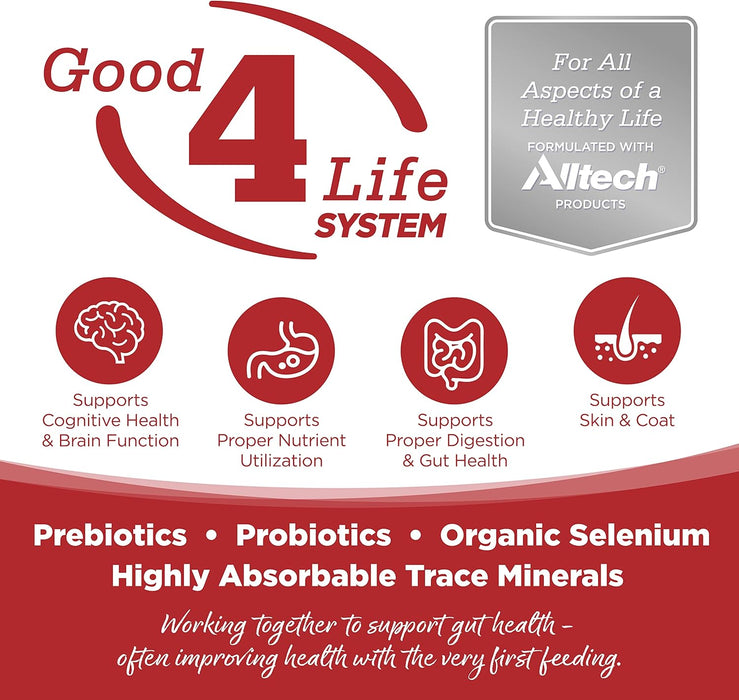 PureVita Grain Free Beef & Red Lentils Dry Dog Food