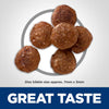 Hill's Science Diet Adult Sensitive Stomach & Sensitive Skin Small Bites Dry Dog Food, Chicken Recipe