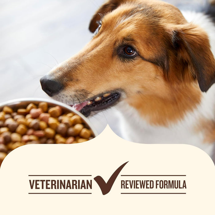 Nutrish Real Chicken & Veggies Recipe Whole Health Blend Dry Dog Food