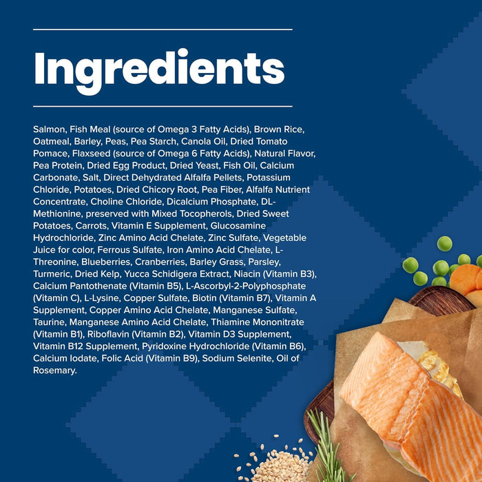 Blue Buffalo Life Protection Formula Adult Salmon & Brown Rice Recipe Dry Dog Food