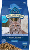 Blue Buffalo Wilderness High Protein Grain-Free Dry Cat Food – Natural Chicken Recipe