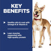 Hill's Science Diet Adult 1-6, Adult 1-6 Premium Nutrition, Dry Dog Food, Chicken & Barley