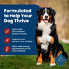 Blue Buffalo Life Protection Formula Adult Beef & Brown Rice Recipe Dry Dog Food