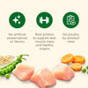 Nutrish Real Chicken & Veggies Recipe Whole Health Blend Dry Dog Food