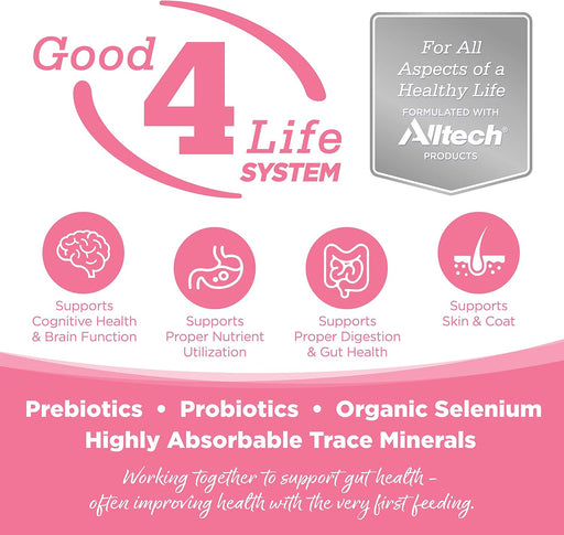 NutriSource PureVita Salmon Dog Food Grain-Free Limited Ingredient for Sensitive Stomach
