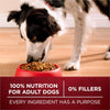 Purina ONE True Instinct Natural High Protein with Real Turkey & Venison Dry Dog Food
