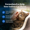 Blue Buffalo Wilderness High Protein Grain-Free Dry Cat Food – Natural Chicken Recipe