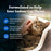 Blue Buffalo Wilderness High Protein Grain-Free Dry Cat Food – Natural Chicken Recipe
