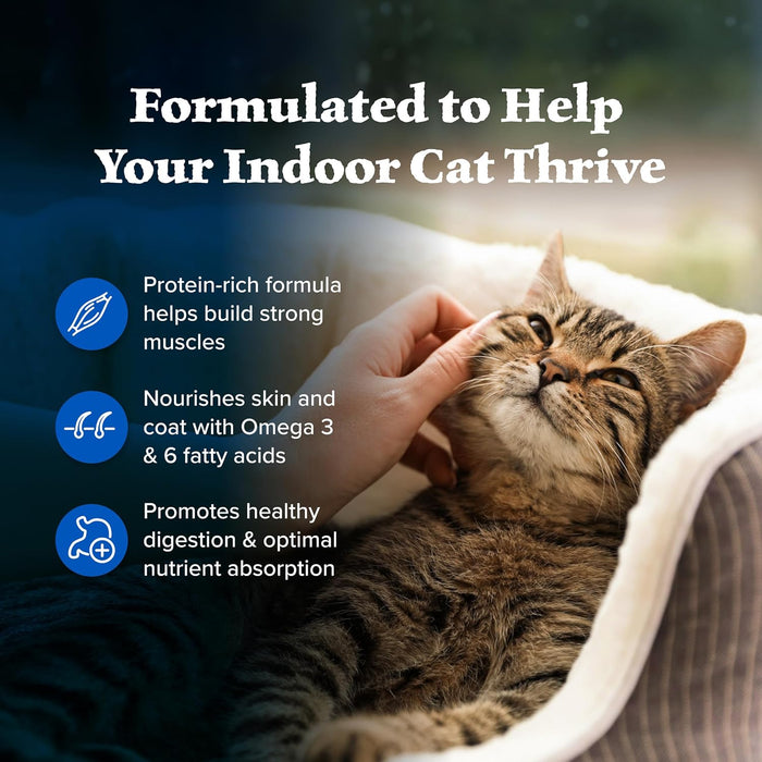 Blue Buffalo Wilderness High Protein Grain-Free Dry Cat Food – Natural Chicken Recipe