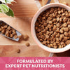 Nature's Recipe Grain-Free Salmon, Sweet Potato & Pumpkin Recipe Dry Dog Food