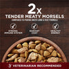 Purina ONE True Instinct Natural High Protein with Real Turkey & Venison Dry Dog Food