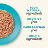 Applaws Natural Wet Cat Food, 24 Pack, Limited Ingredient Canned Wet Cat Food, Tuna Fillet in Broth.