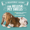 Angry Orange Pet Odor Eliminator Spray, 24-fl oz bottle