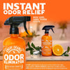 Angry Orange Pet Odor Eliminator Spray, 24-fl oz bottle