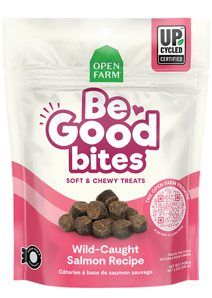 Be Good Bites Wild-Caught Salmon Recipe Treats — 6 oz