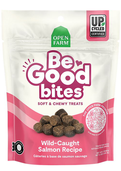 Be Good Bites Wild-Caught Salmon Recipe Treats — 6 oz
