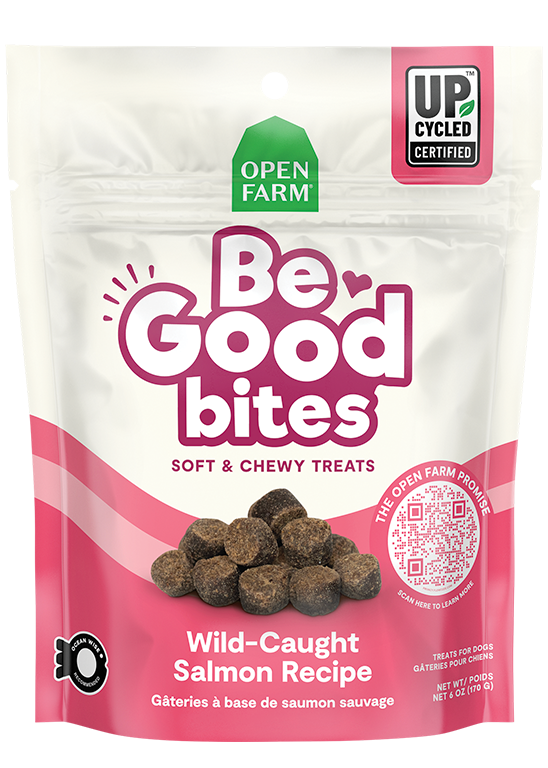 Be Good Bites Wild-Caught Salmon Recipe Treats — 6 oz