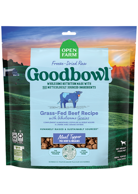 Open Farm GoodBowl Grass-Fed Beef with Wholesome Grains Dog — manufacturer recipe-family image; packaging size may differ