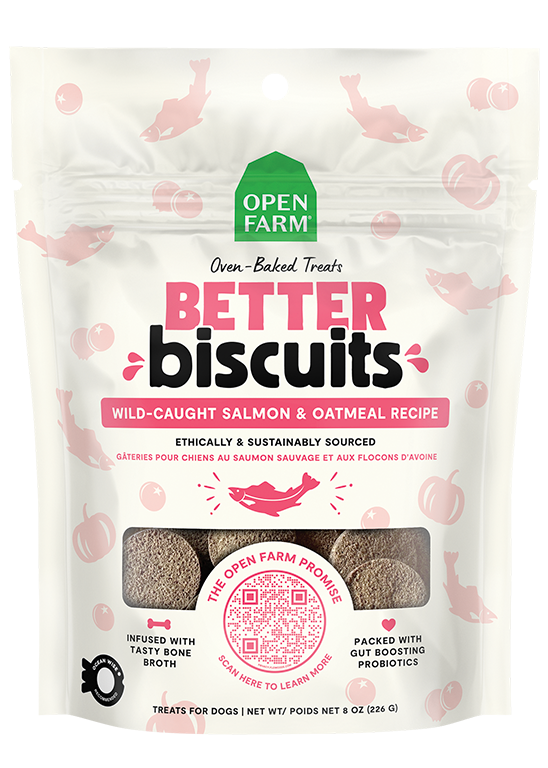 Better Biscuits Wild-Caught Salmon & Oatmeal Treats — 8OZ