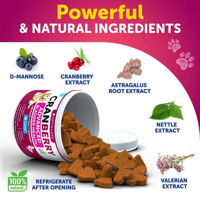 Artullano Cranberry Urinary Support Soft Chews for Dogs, Duck Flavor, 2-Pack, 240 Total