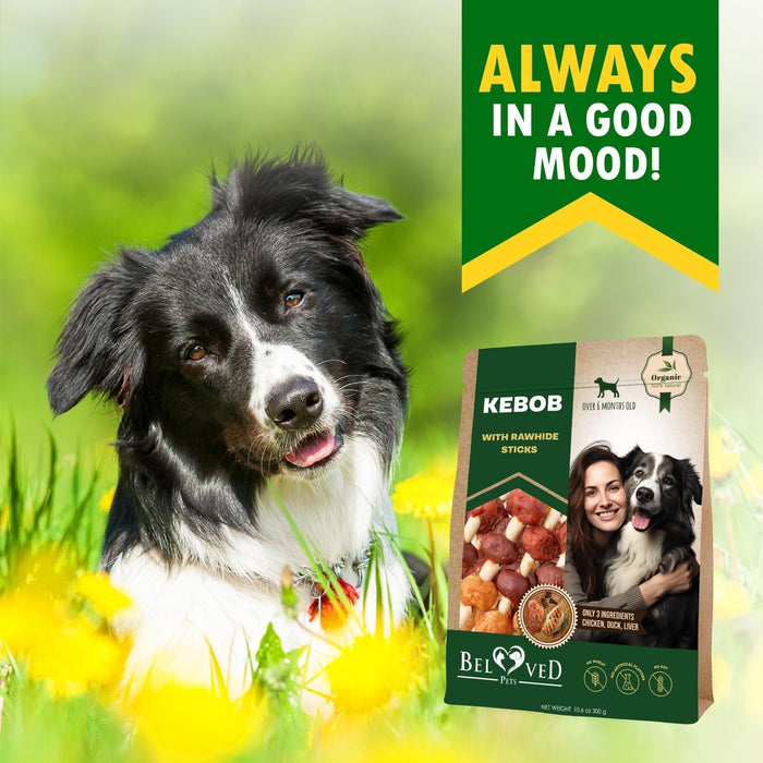 Beloved Pets Chicken & Duck Rawhide Kabob Dog Chews, 10.6 oz