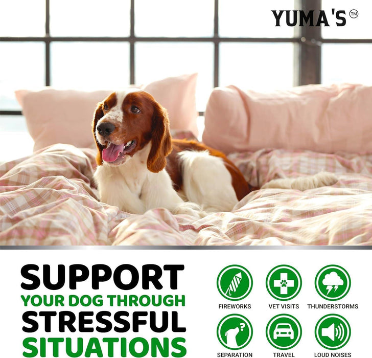 YUMA'S Hemp Calming Soft Chews for Dogs, Chicken Flavor, 2-Pack, 340 Count