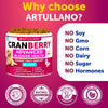 Artullano Cranberry Urinary Support Soft Chews for Dogs, Duck Flavor, 2-Pack, 240 Total