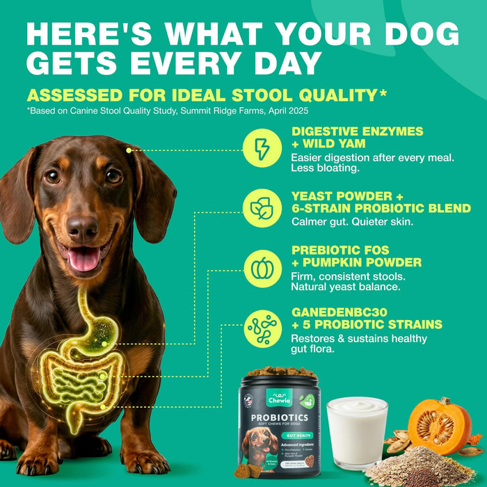 Chewia Probiotic Soft Chews for Dogs, Duck Flavor, 180 Count