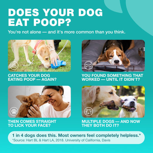 Chewia No Poo Probiotic Soft Chews for Dogs, Duck Flavor, 180 Count