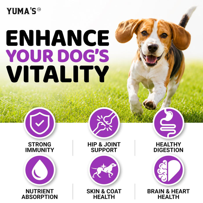 YUMA'S 23-in-1 Multivitamin Soft Chews for Dogs, Chicken Flavor, 2-Pack, 340 Count
