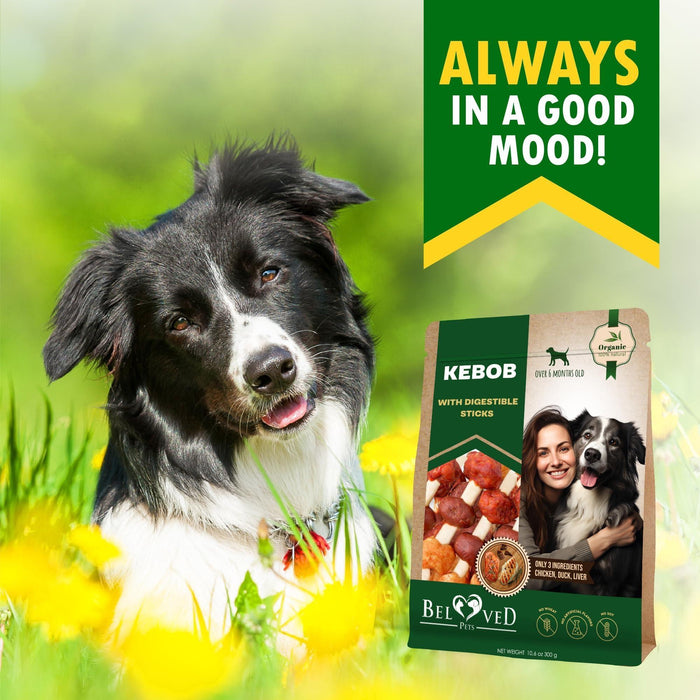 Beloved Pets Chicken & Duck Kabob Dog Chews, 10.6 oz